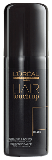 Loreal Hair Touch Up Black